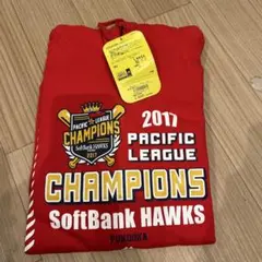 Item thumbnail for item 6f8f0f8f-9091-44c0-b251-8998759b46f6