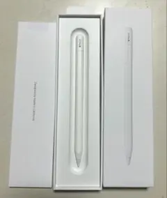Apple Pencil (USB-C)ホワイト