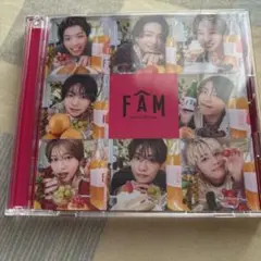 FAM 通常盤