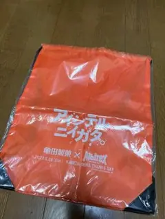 アルビレックス新潟 来場者ナップザック