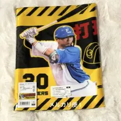 郡司裕也 タオル 打球にご注意ください