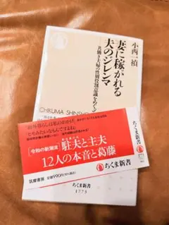 妻に稼がれる夫のジレンマ　共働き夫婦の性別役割意識をめぐって