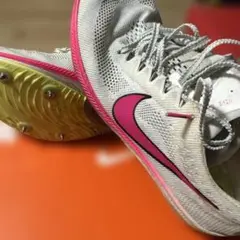 Nike ドラゴンフライ 26.0