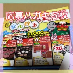 懸賞 貯玉キャンペーン応募ハガキ5枚 仙台牛GODIVA明太子QUOカード