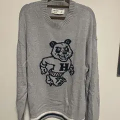 HOLLISTER ホリスター ボクシーフィット ニット カレッジ