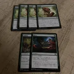 mtg