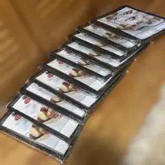 A4メニューブック(クリアファイルタイプ)10冊セット 12面