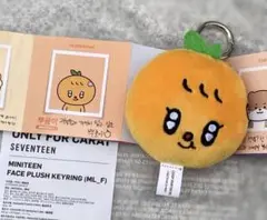SEVENTEEN ウジ サノク キーリング MINITEEN セブチ SEVENTEEN ウジ MINITEEN キーリング｜Yahoo!フリマ（旧