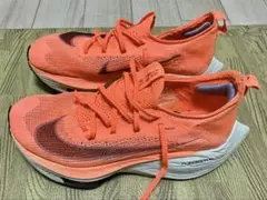 Item thumbnail for item b6cfcf22-2f8c-4678-8e57-dfe95b078ecf