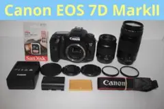 Item thumbnail for item 1cd8baf2-9a82-4156-8466-1495d147f55b