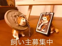 【新品】挟まり犬3 柴犬キーホルダー　2匹