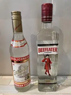 ウォッカ ジン 2本セット
