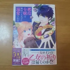 悪役令嬢は藤宮の王子に弱愛される 第14巻