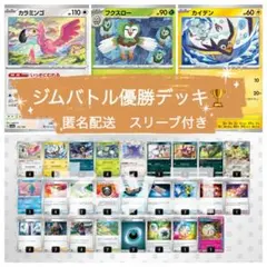 ジムバトル優勝デッキ　だんけつのつばさ