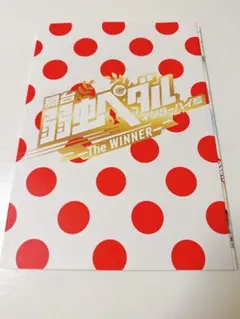 舞台弱虫ペダル　インターハイ篇　パンフレット
