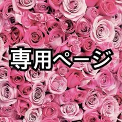 (新品未開封） ERIC CARLEマルチケース ジャバラタイプ母子手帳ケース