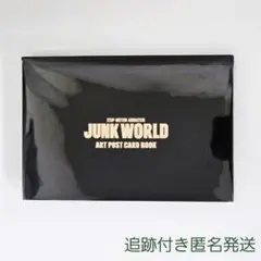 JUNKWORLD ジャンクワールド　アートポストカードブック