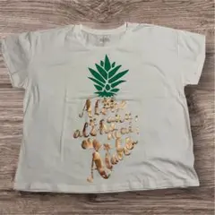アロハスタンダード　ビッグTシャツ パイナップル　メタリックロゴ　フリーサイズ