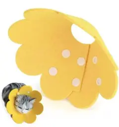 Item thumbnail for item 86c47cec-d740-477d-a461-4e3e89047a16