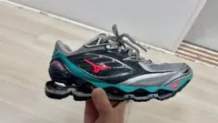 Mizuno prophecy 6