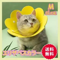 エリザベスカラー 猫 犬 ペット用品 傷口保護 傷舐め防止 引っ掻き防止 黄