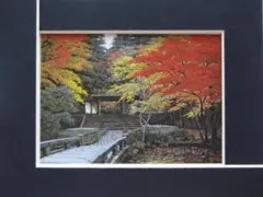 澁澤卿、【虎耳草】、希少な額装用画集より、新品額装付、状態良好 辰巳寛、【舞妓】、希少な額装用画集より、新品額装付、状態良好