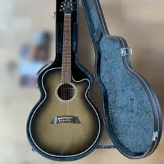 【メンテ済美品】Takamine PT-106-6 専用ハードケース付 2025年最新】takamine pt 106の人気アイテム - メルカリ