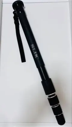 Item thumbnail for item 63f5fc53-b79d-4c4e-93b3-9d45b505aa77