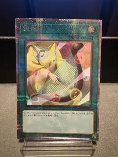 調律 25thシークレット
