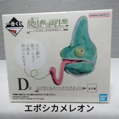 一番くじ 爬虫類&両生類 　レプタイルズヘッドマグネット　エボシカメレオン