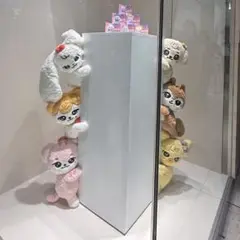 はるちゃん　専用
