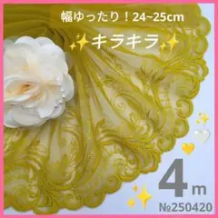 №250420 チュールレース