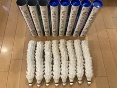 Item thumbnail for item 44598178-82d7-4bda-a4b1-1af36ee9af6e