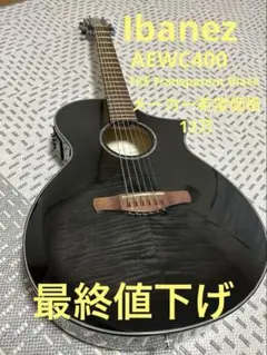 Ibanez AEL125ERD エレアコ ブラック Ibanez AEL125ERD エレアコ ブラック - メルカリ