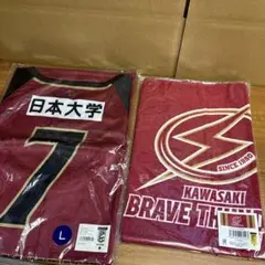 川崎ブレイブサンダース　篠山