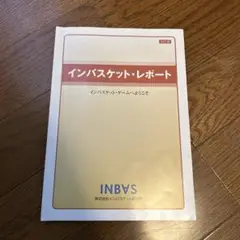 インバスケット研究所　インバスケット・レポート