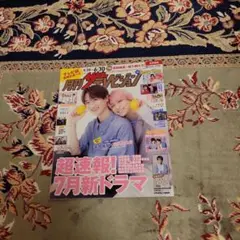 月刊ザッテレビジョン雑誌