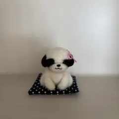 お座りシーズーちゃん