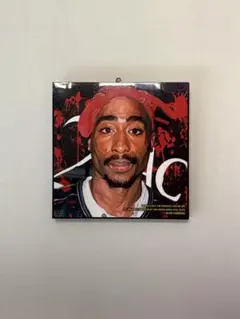 ★2pac 壁掛け★ ラック