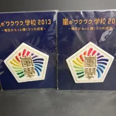 嵐のワクワク学校　バッジ