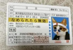 Item thumbnail for item 3f2c987d-31bb-461b-bff3-aed2ce848b0f