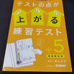 テストの点が上がる練習テスト 小5