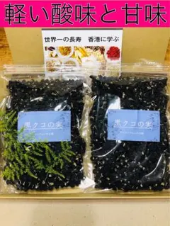 Item thumbnail for item 30ac77c9-500e-461f-8a23-0bb113509c56