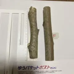 Item thumbnail for item 82b8212b-6455-4d0f-9167-41bd4cad8ec9