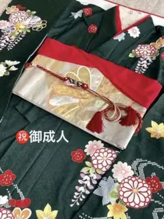 振袖 成人式 美品 振袖7点セット