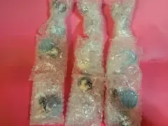 にいてんご ラブプラス 全9種セット