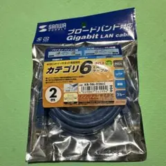 【未使用未開封品】サンワサプライLANケーブル CAT6 2m