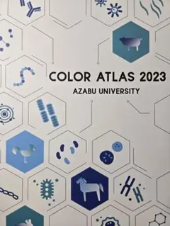 2025年最新】カラーアトラス 麻布の人気アイテム - メルカリ