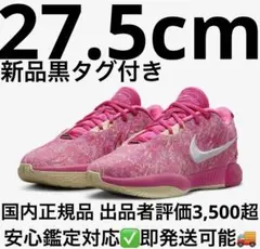 Nike LeBron 21 レブロン21 29cm ピンク　完売品　新品未使用 新品 ナイキ レブロン21 27cm ピンク NIKE LEBRON XXI - メルカリ