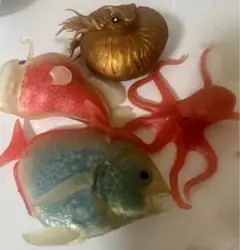 オーシャンアタック&co ミズダコ　デアゴスティーニ　アカマンボウ　オウムガイ